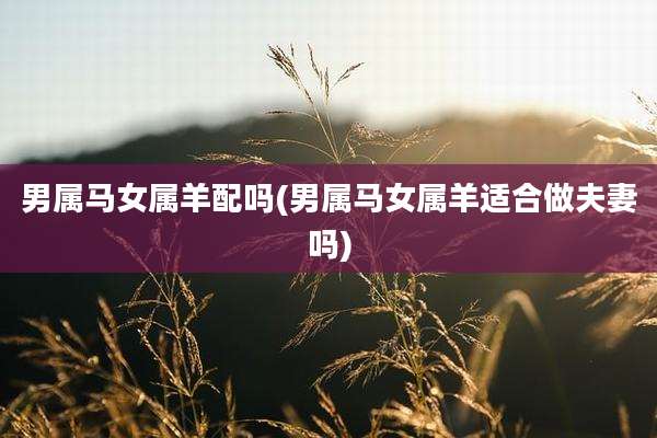 男属马女属羊配吗(男属马女属羊适合做夫妻吗)