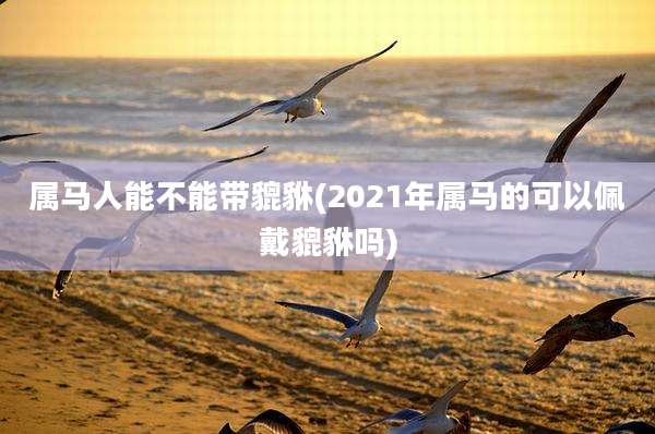 属马人能不能带貔貅(2021年属马的可以佩戴貔貅吗)