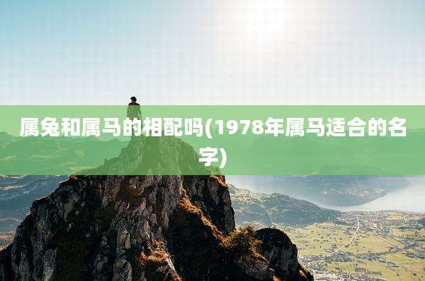 属兔和属马的相配吗(1978年属马适合的名字)