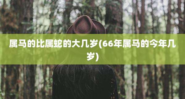 属马的比属蛇的大几岁(66年属马的今年几岁)