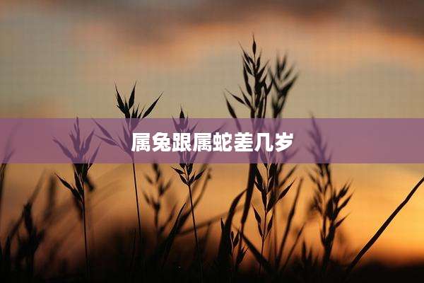 属兔跟属蛇差几岁