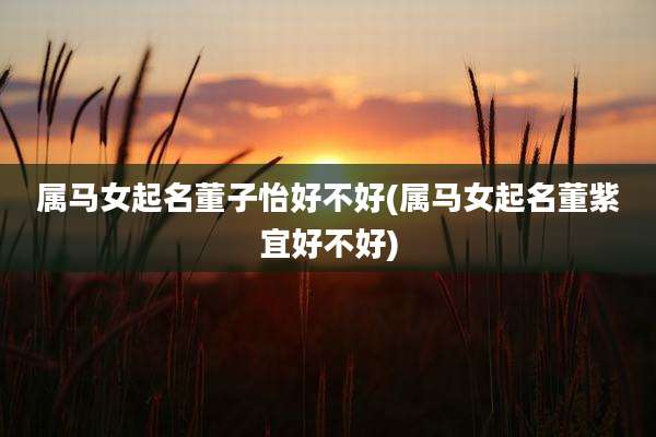 属马女起名董子怡好不好(属马女起名董紫宜好不好)