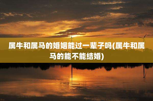 属牛和属马的婚姻能过一辈子吗(属牛和属马的能不能结婚)