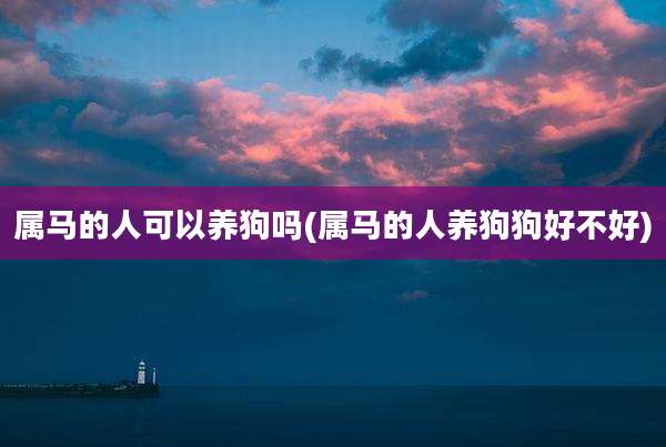 属马的人可以养狗吗(属马的人养狗狗好不好)