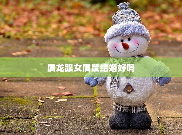 属龙跟女属鼠结婚好吗