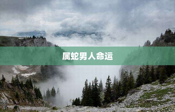 属蛇男人命运