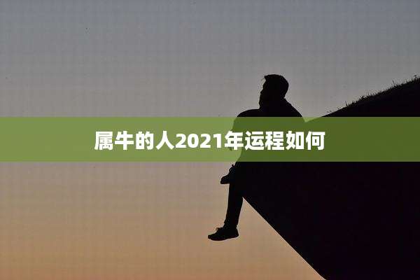 属牛的人2021年运程如何