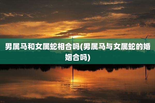 男属马和女属蛇相合吗(男属马与女属蛇的婚姻合吗)