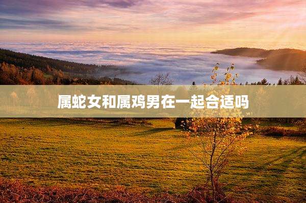 属蛇女和属鸡男在一起合适吗