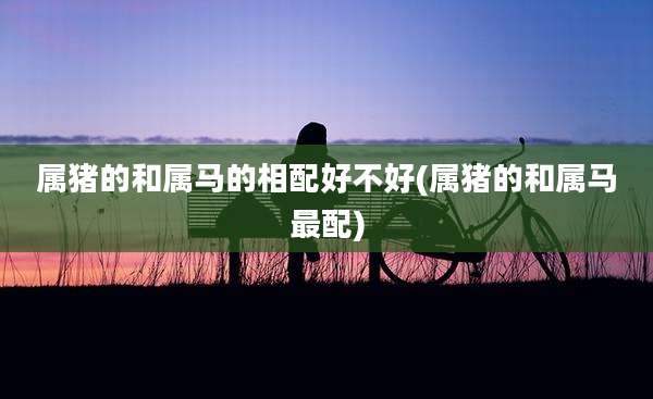 属猪的和属马的相配好不好(属猪的和属马最配)