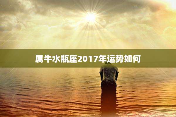 属牛水瓶座2017年运势如何