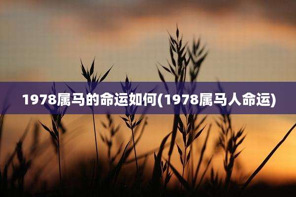 1978属马的命运如何(1978属马人命运)