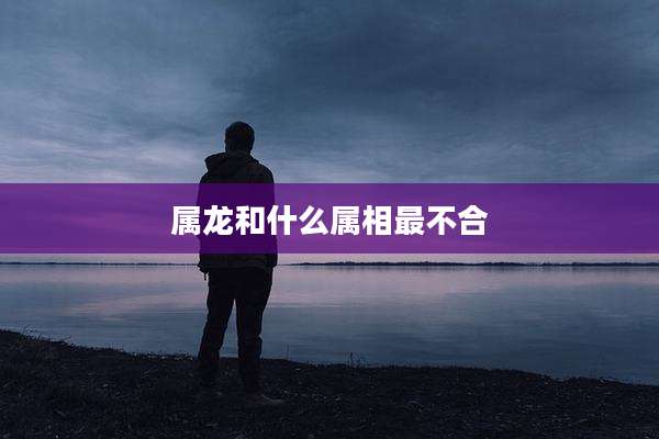 属龙和什么属相最不合