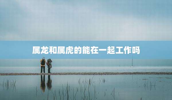 属龙和属虎的能在一起工作吗