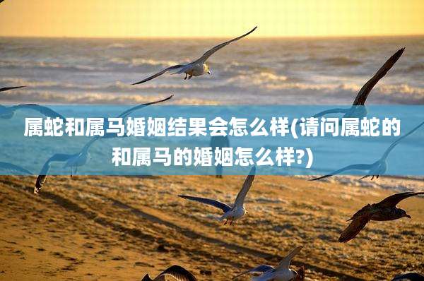 属蛇和属马婚姻结果会怎么样(请问属蛇的和属马的婚姻怎么样?)
