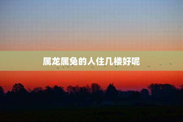 属龙属兔的人住几楼好呢