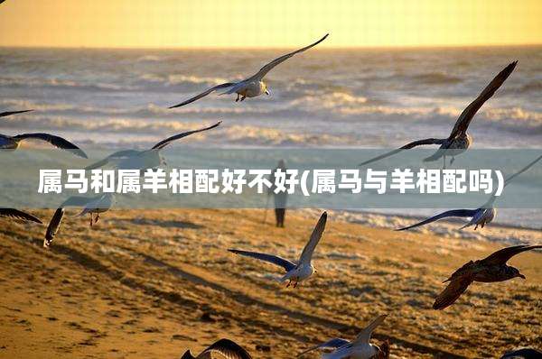 属马和属羊相配好不好(属马与羊相配吗)