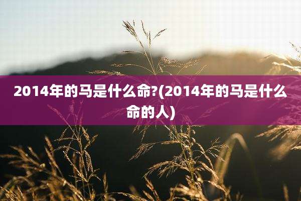2014年的马是什么命?(2014年的马是什么命的人)