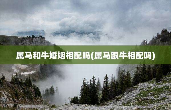 属马和牛婚姻相配吗(属马跟牛相配吗)