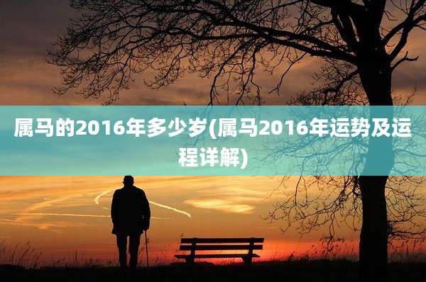 属马的2016年多少岁(属马2016年运势及运程详解)