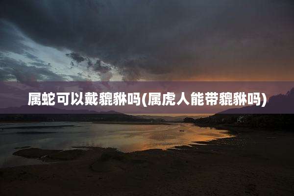 属蛇可以戴貔貅吗(属虎人能带貔貅吗)