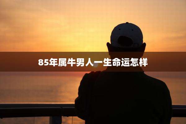 85年属牛男人一生命运怎样