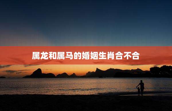 属龙和属马的婚姻生肖合不合