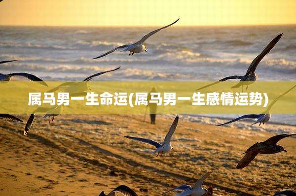 属马男一生命运(属马男一生感情运势)