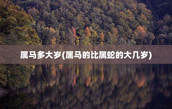 属马多大岁(属马的比属蛇的大几岁)