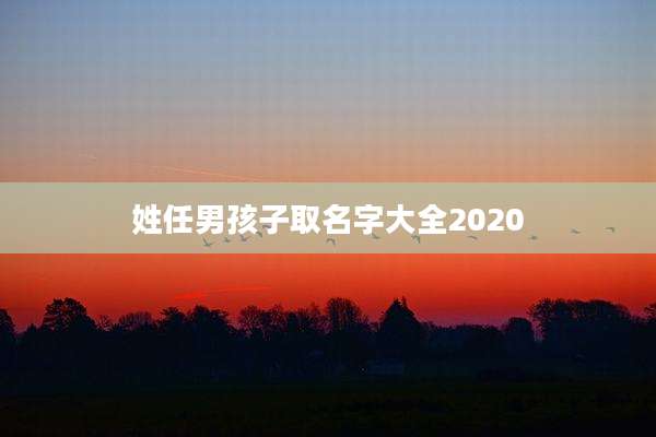 姓任男孩子取名字大全2020
