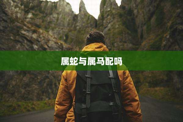 属蛇与属马配吗