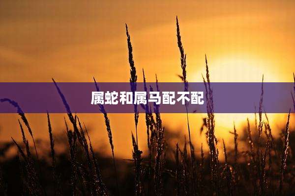 属蛇和属马配不配