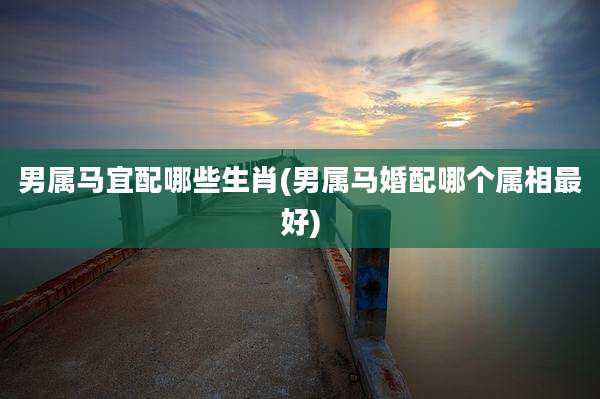 男属马宜配哪些生肖(男属马婚配哪个属相最好)
