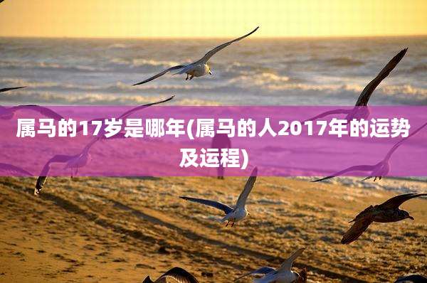 属马的17岁是哪年(属马的人2017年的运势及运程)