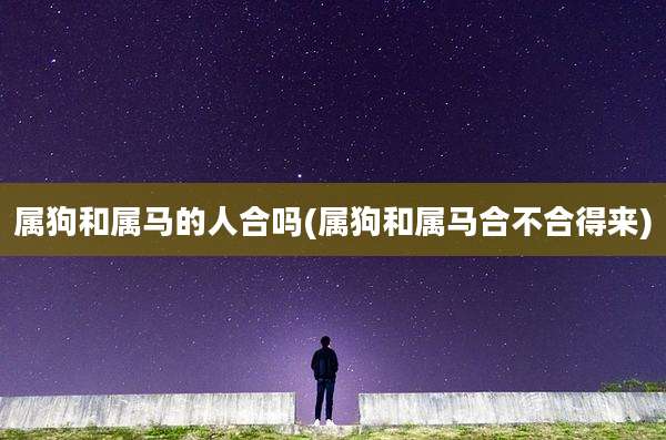属狗和属马的人合吗(属狗和属马合不合得来)
