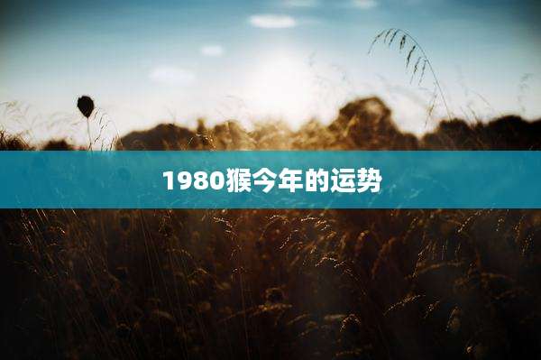 1980猴今年的运势