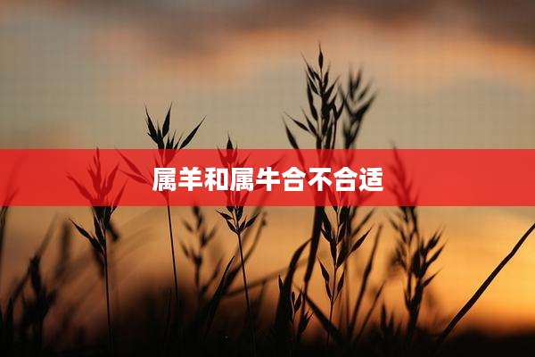 属羊和属牛合不合适