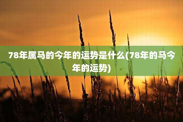 78年属马的今年的运势是什么(78年的马今年的运势)
