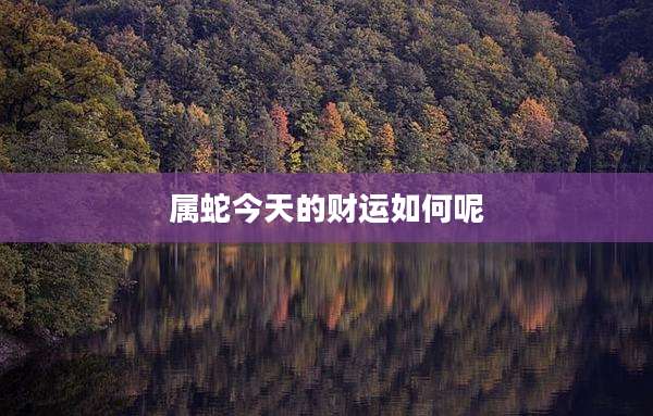 属蛇今天的财运如何呢