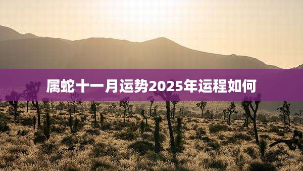 属蛇十一月运势2025年运程如何