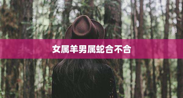 女属羊男属蛇合不合