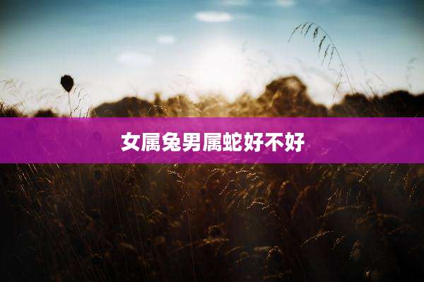 女属兔男属蛇好不好