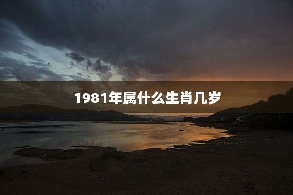 1981年属什么生肖几岁