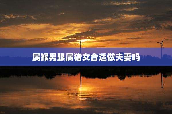 属猴男跟属猪女合适做夫妻吗