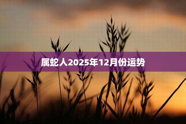 属蛇人2025年12月份运势
