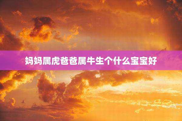 妈妈属虎爸爸属牛生个什么宝宝好