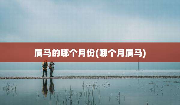 属马的哪个月份(哪个月属马)