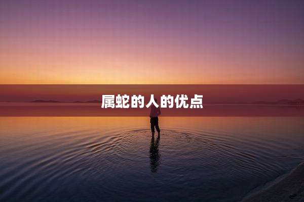 属蛇的人的优点