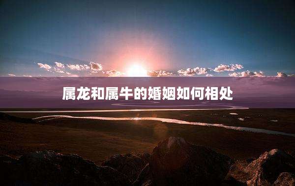 属龙和属牛的婚姻如何相处