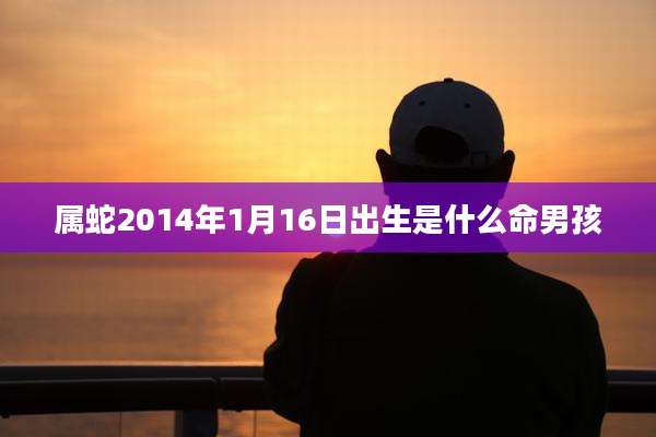 属蛇2014年1月16日出生是什么命男孩